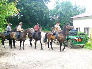 Auch 1 PS machen Rast im Schwalbennest.